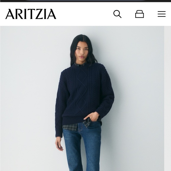 Aritzia Sweaters - Aritizia Sweater